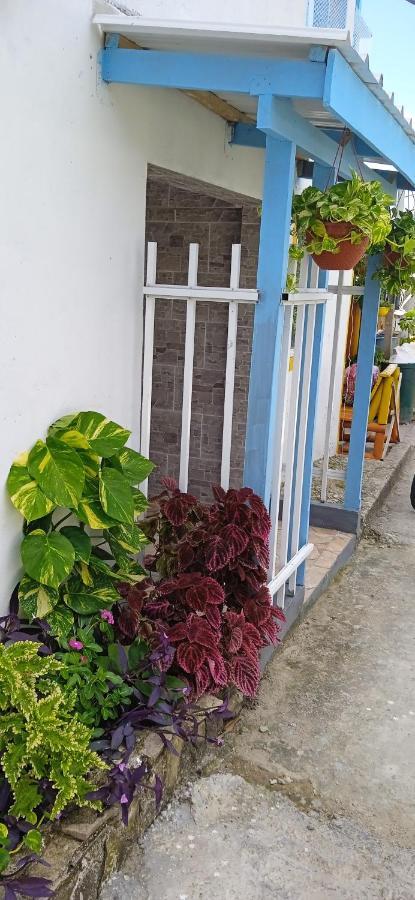 Posada Aleeny Providencia  Екстериор снимка